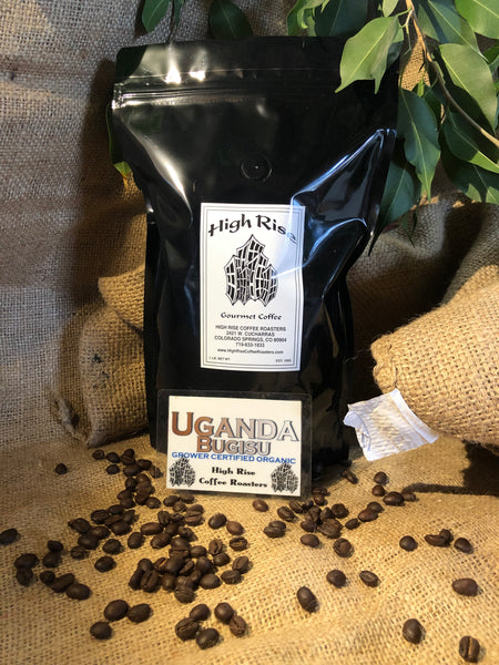 Organic Uganda Bugisu