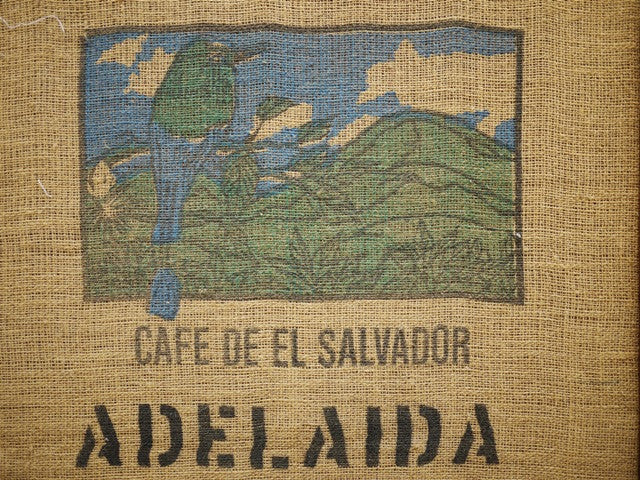 Organic El Salvador fresh roast craft coffee High Rise Coffee Roasters Colorado Springs, CO 
